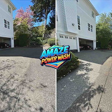 Professional-Pressure-Washing-and-Window-Cleaning-in-Bellevue-WA 0